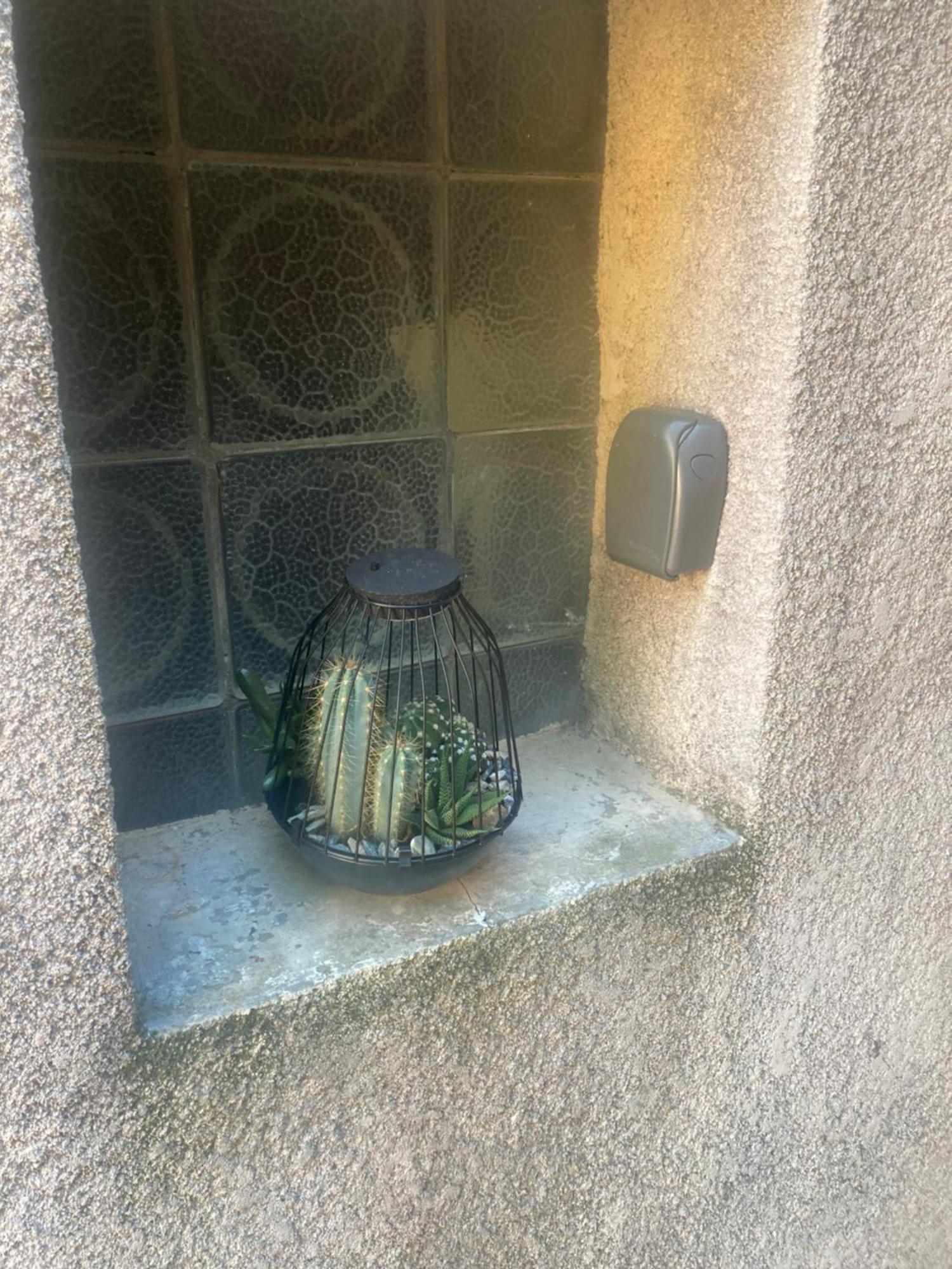 Maison Delmas, L'Oustal Du Recantu Sainte-Eulalie  Eksteriør billede
